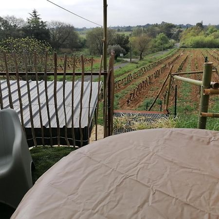 Conteneur Avec Spa Prive Face Aux Vignes Massillargues-Attuech Extérieur photo