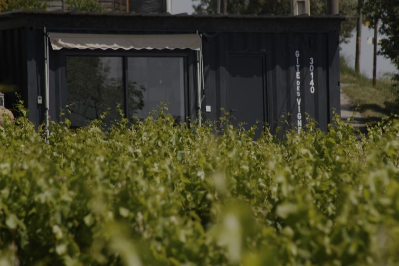 Conteneur Avec Spa Prive Face Aux Vignes Massillargues-Attuech Extérieur photo