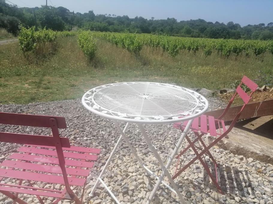 Conteneur Avec Spa Prive Face Aux Vignes Massillargues-Attuech Extérieur photo