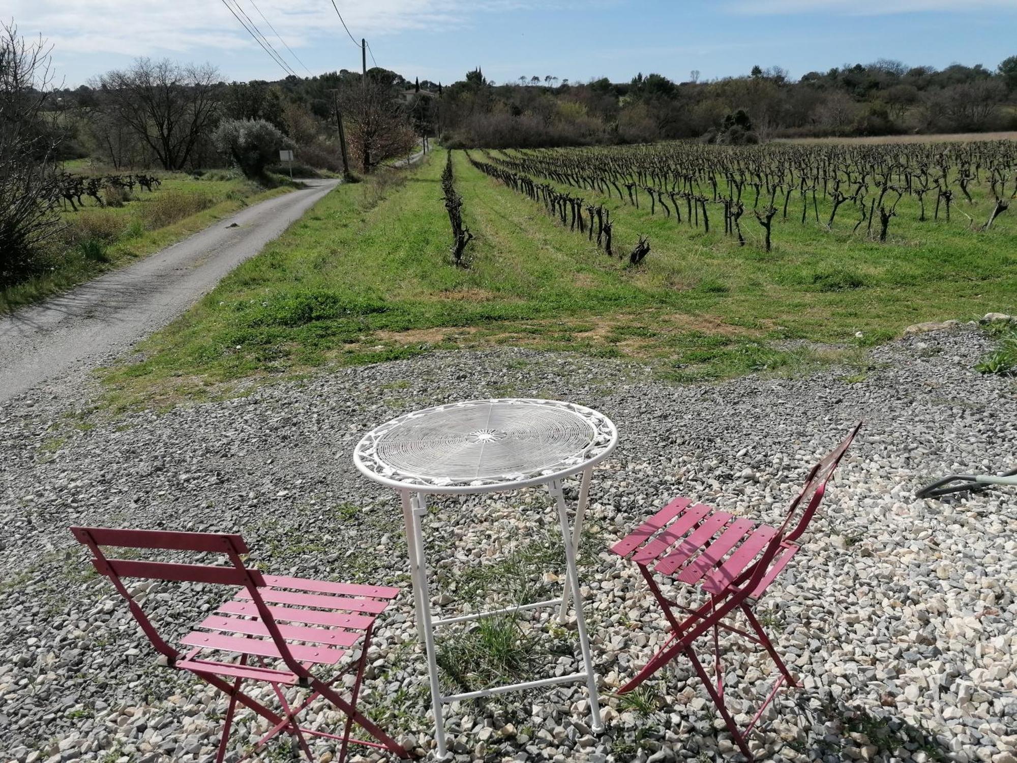 Conteneur Avec Spa Prive Face Aux Vignes Massillargues-Attuech Extérieur photo
