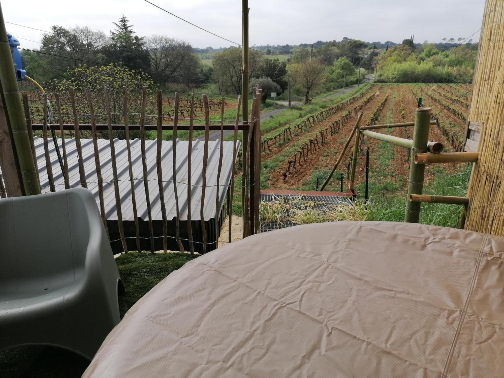 Conteneur Avec Spa Prive Face Aux Vignes Massillargues-Attuech Extérieur photo