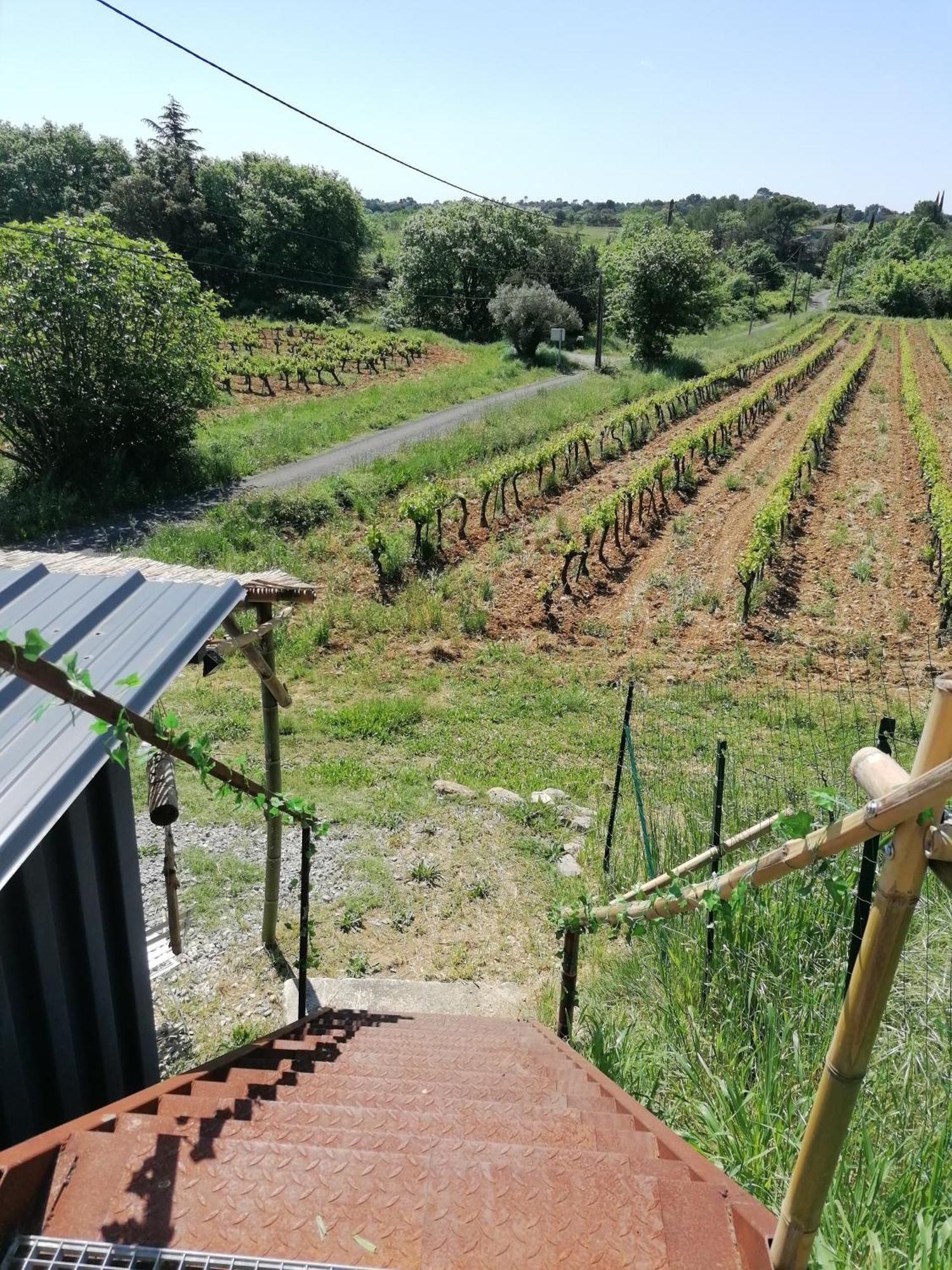 Conteneur Avec Spa Prive Face Aux Vignes Massillargues-Attuech Extérieur photo